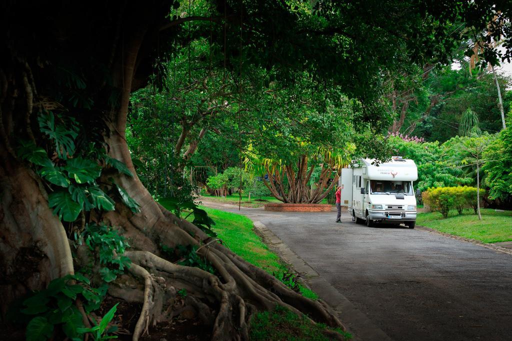 Airport Costa Rica B&B Río Segundo エクステリア 写真